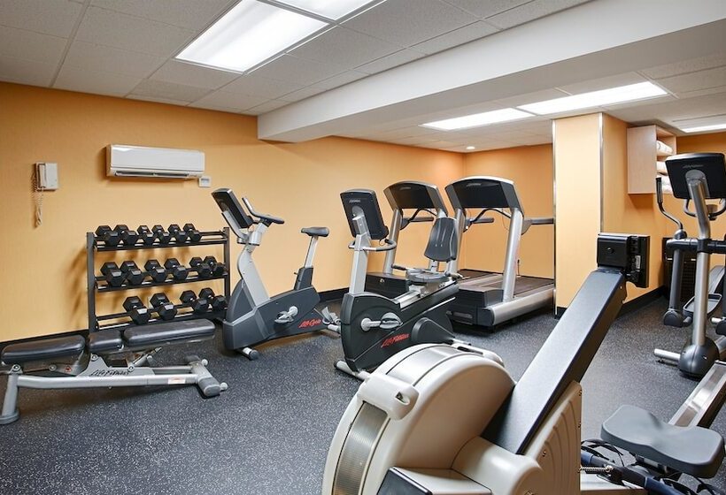 בית מלון כפרי Best Western Plus Suites Downtown Calgary