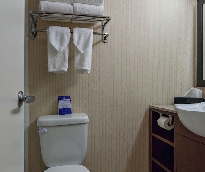 فندق Best Western Plus Suites Downtown Calgary