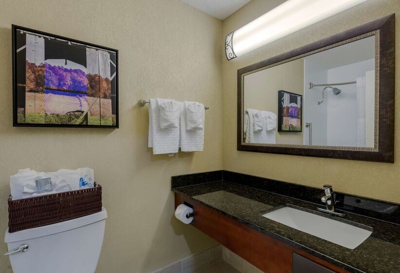 Best Western Plus Wooster Hotel & Conference Center