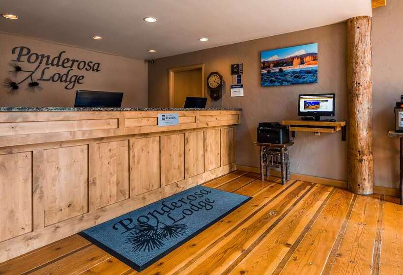 فندق Best Western Ponderosa Lodge
