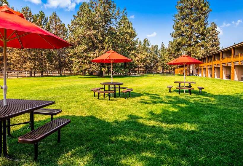 فندق Best Western Ponderosa Lodge