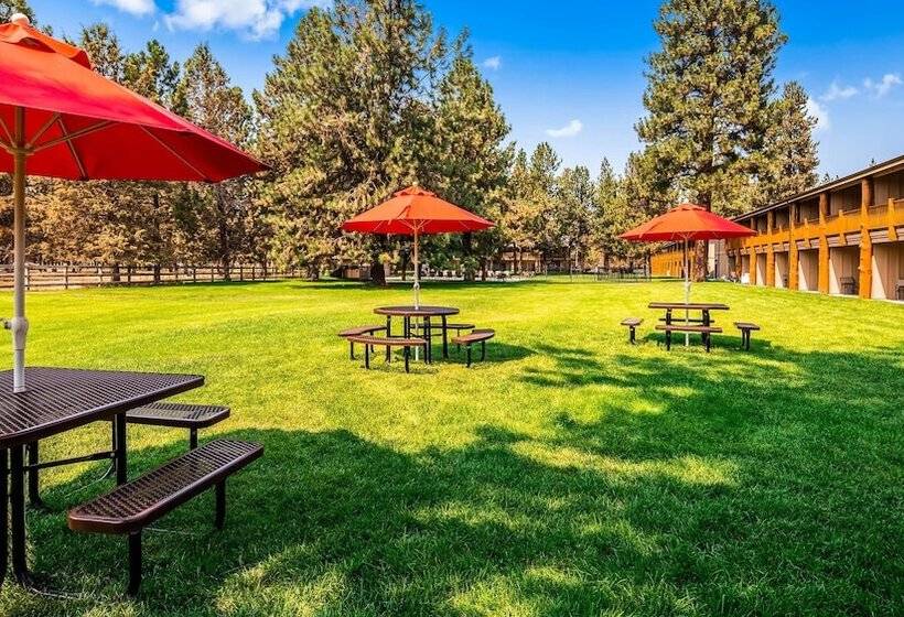 فندق Best Western Ponderosa Lodge