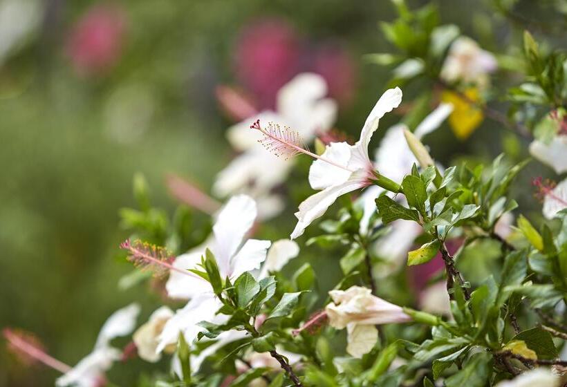 Best Western Posada Royale Hotel & Suites