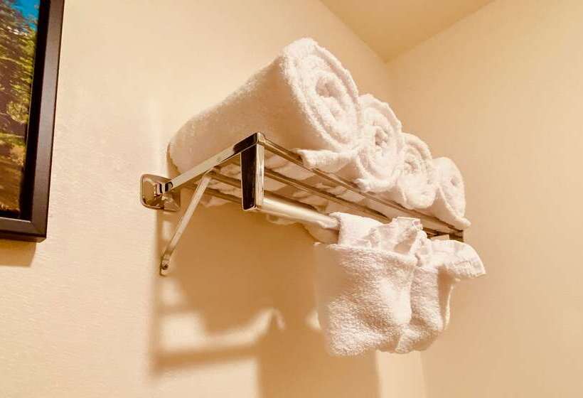 فندق Best Western Sheridan Center