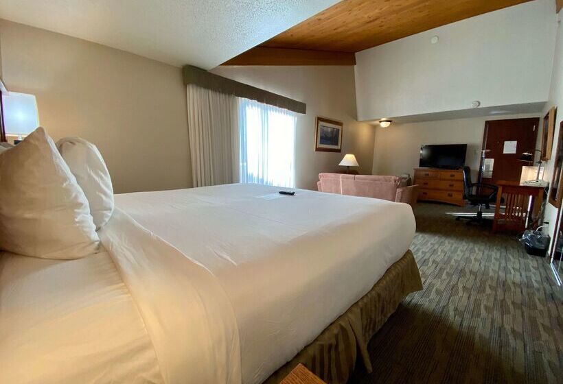 فندق Best Western Sheridan Center