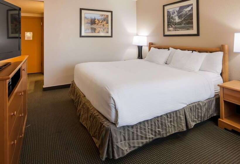 فندق Best Western Sheridan Center