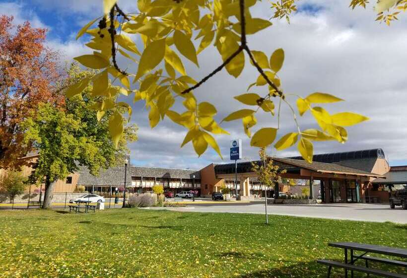 فندق Best Western Sheridan Center