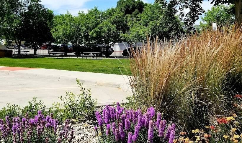 فندق Best Western Sheridan Center