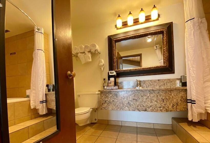 فندق Best Western Sheridan Center