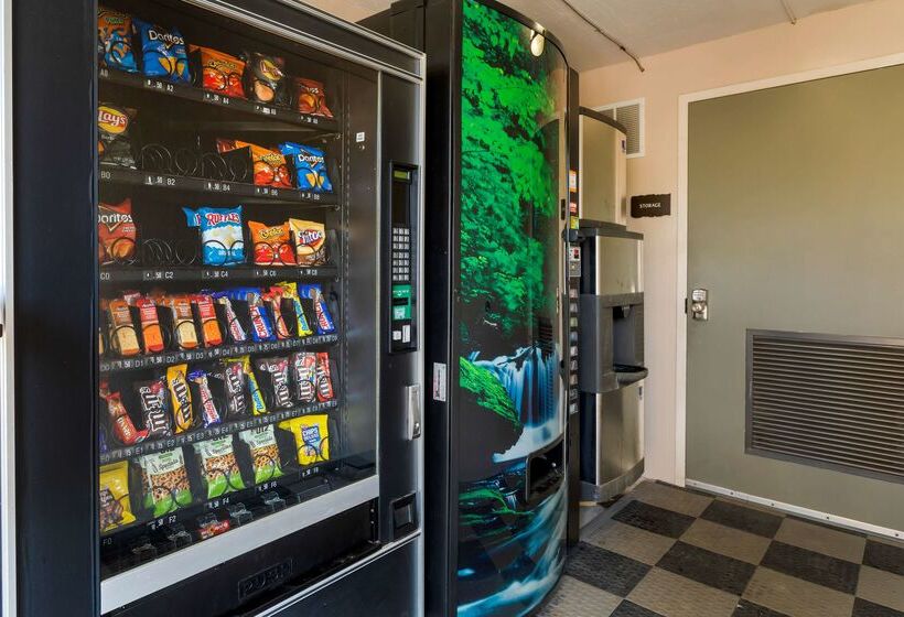 فندق Best Western Smoky Mountain Inn