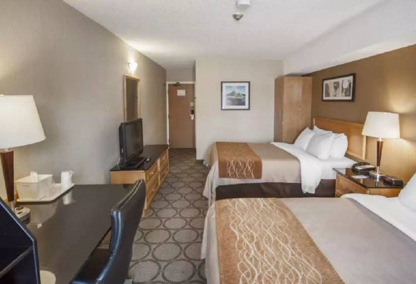 فندق Comfort Inn Airport