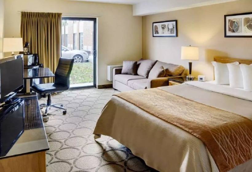 فندق Comfort Inn Airport