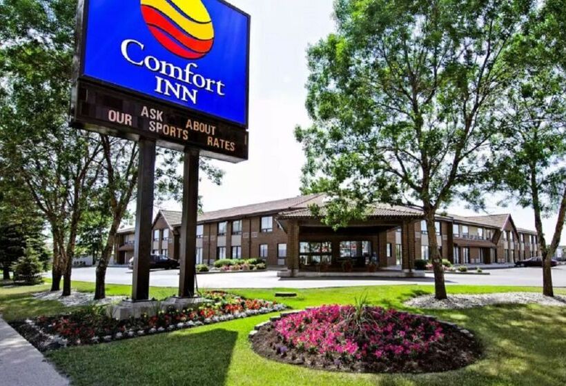 בית מלון כפרי Comfort Inn Airport