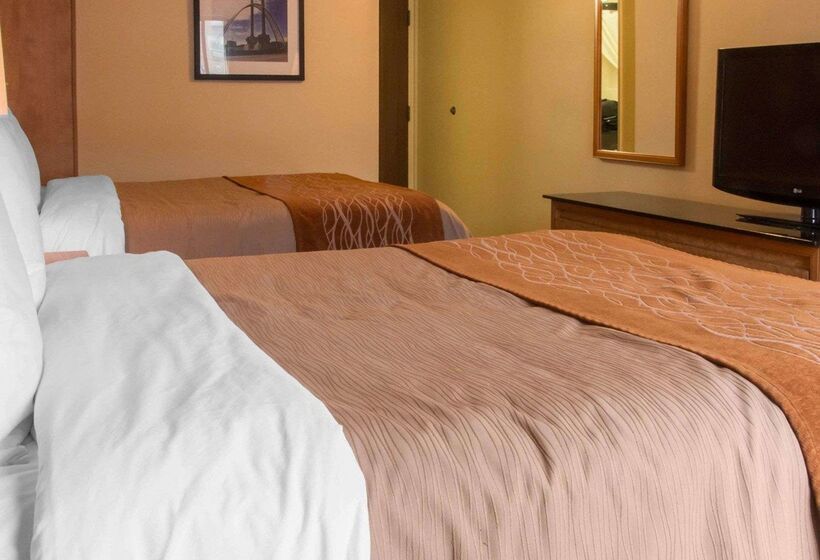 فندق Comfort Inn Airport