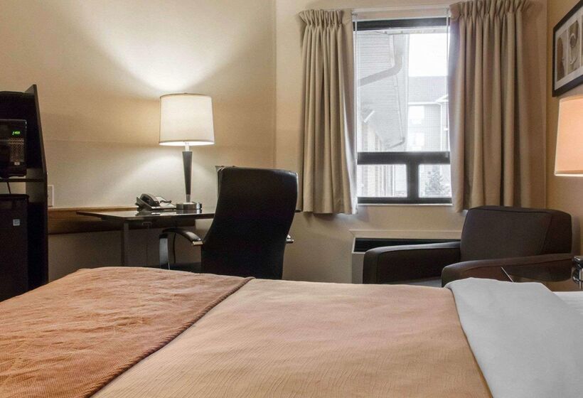 בית מלון כפרי Comfort Inn Airport