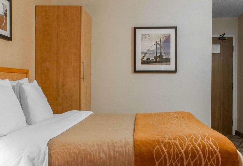 فندق Comfort Inn Airport