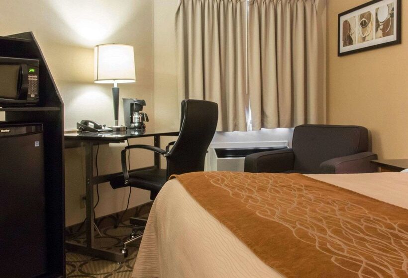 فندق Comfort Inn Airport