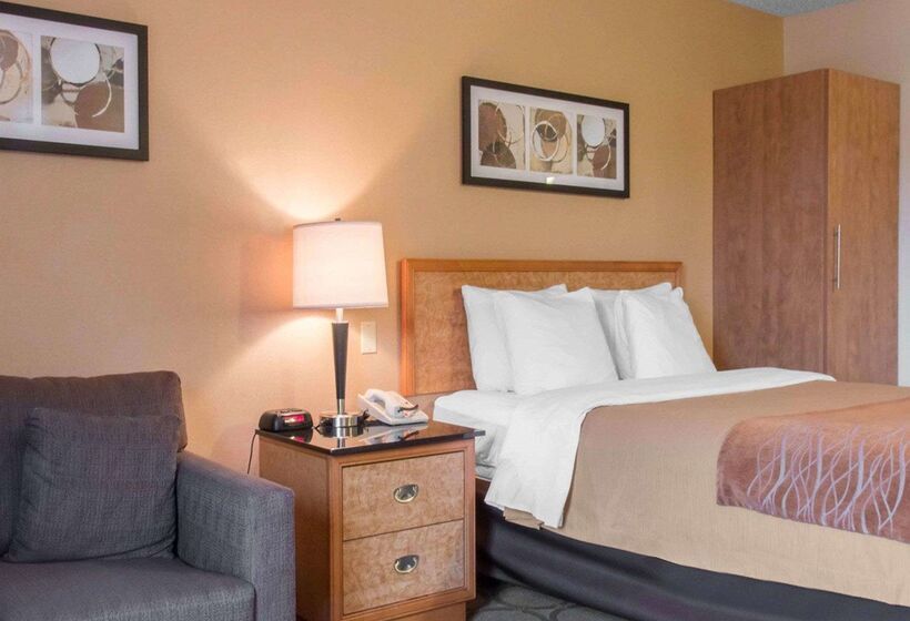 בית מלון כפרי Comfort Inn Airport