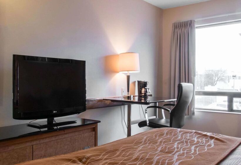 فندق Comfort Inn Airport