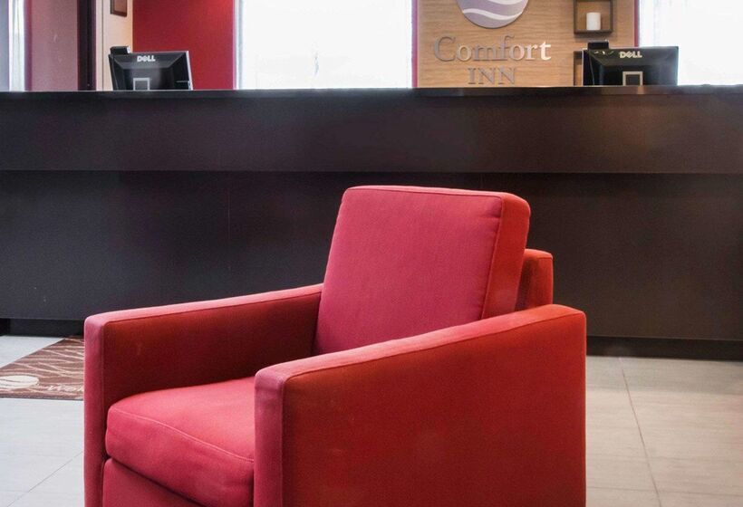 בית מלון כפרי Comfort Inn Airport