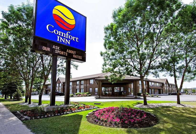 בית מלון כפרי Comfort Inn Airport