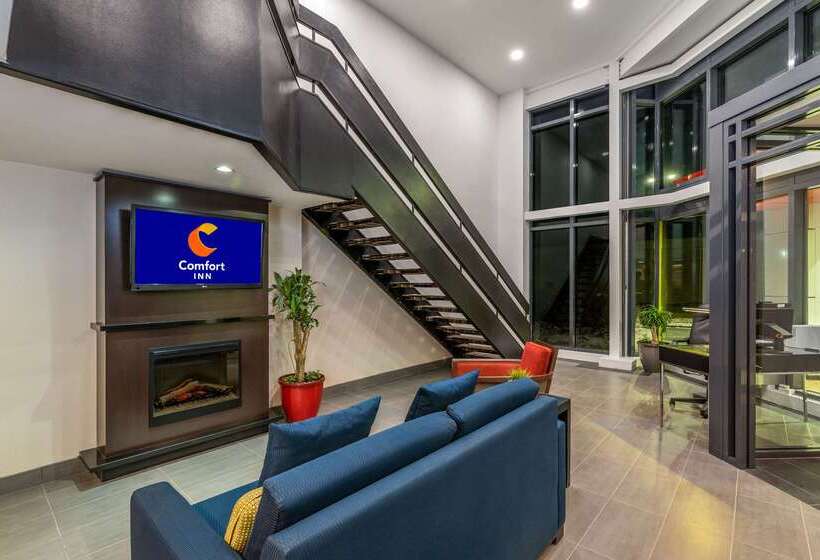 فندق Comfort Inn Airport