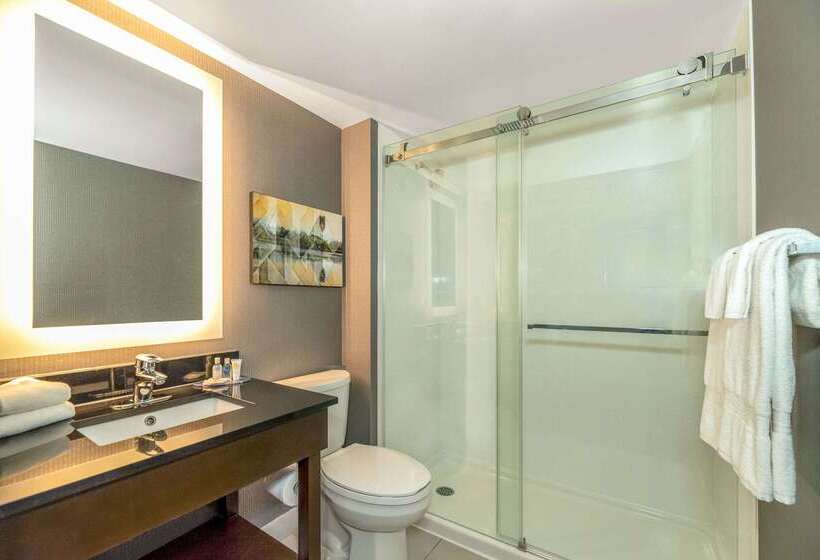 فندق Comfort Inn Airport