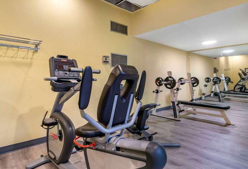 Отель Comfort Inn & Suites Seattle North