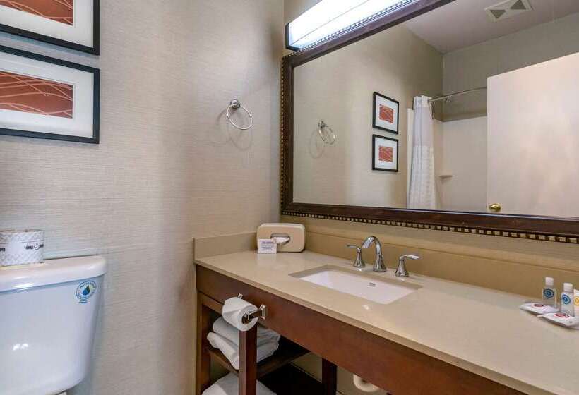 Отель Comfort Inn & Suites Seattle North