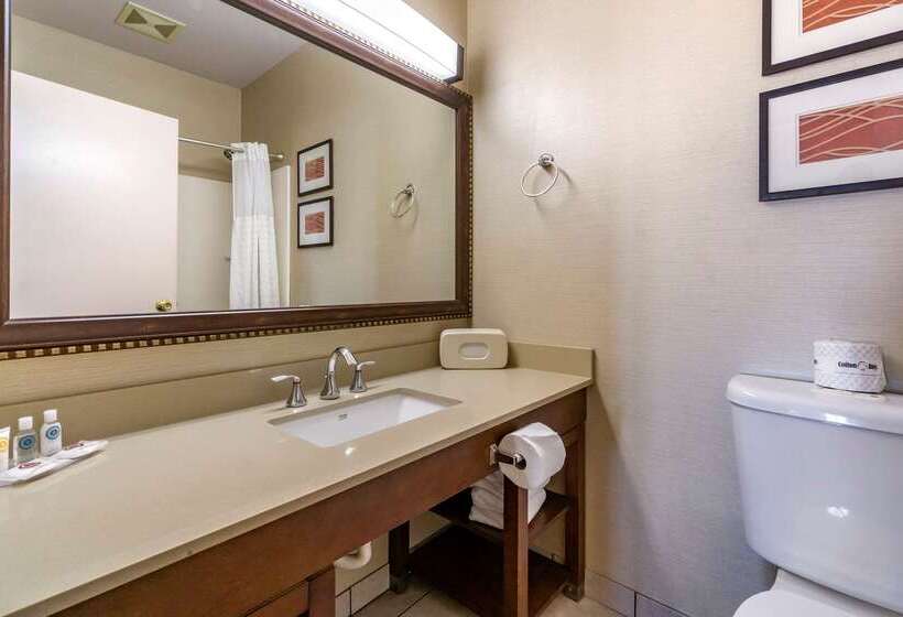 Отель Comfort Inn & Suites Seattle North
