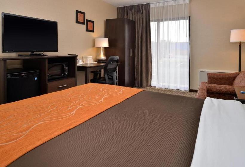 酒店 Comfort Inn Brampton