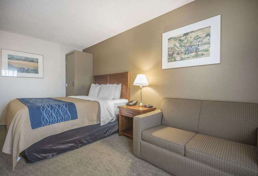 בית מלון כפרי Comfort Inn