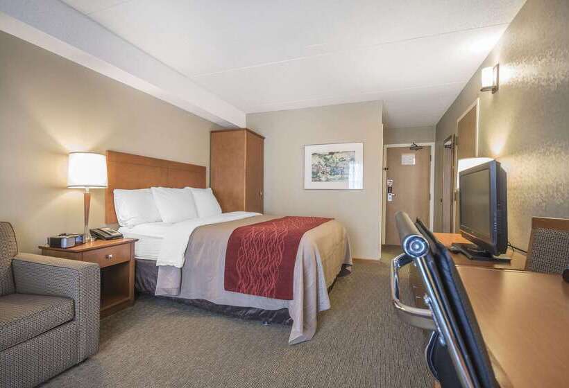 בית מלון כפרי Comfort Inn