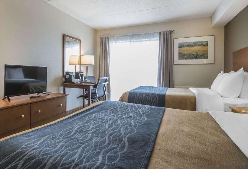 בית מלון כפרי Comfort Inn