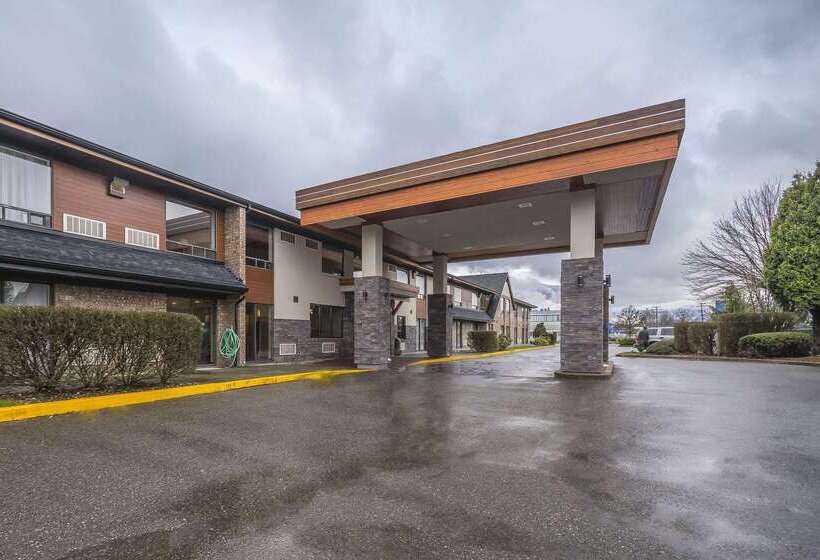 בית מלון כפרי Comfort Inn