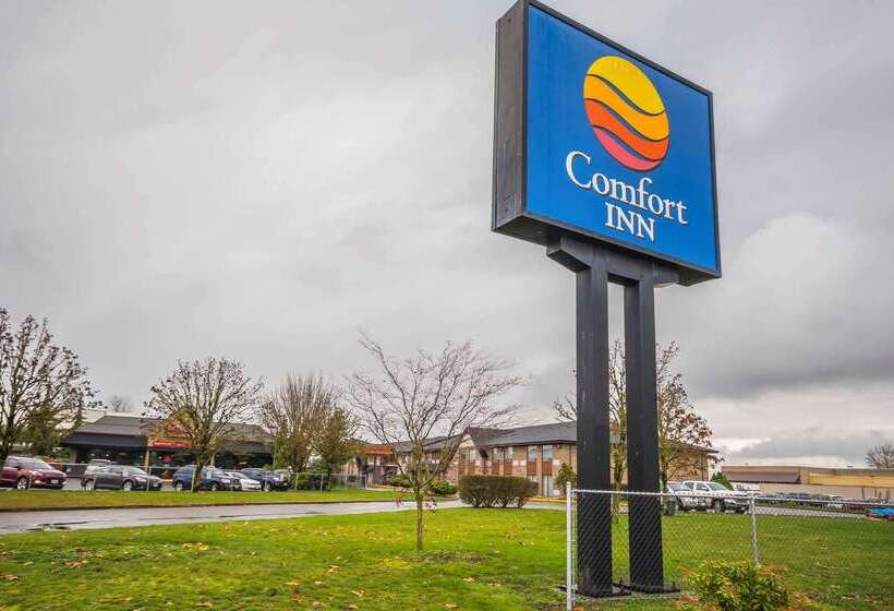 בית מלון כפרי Comfort Inn