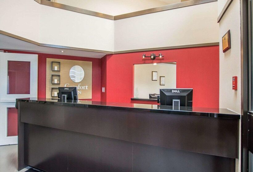 ホテル Comfort Inn East