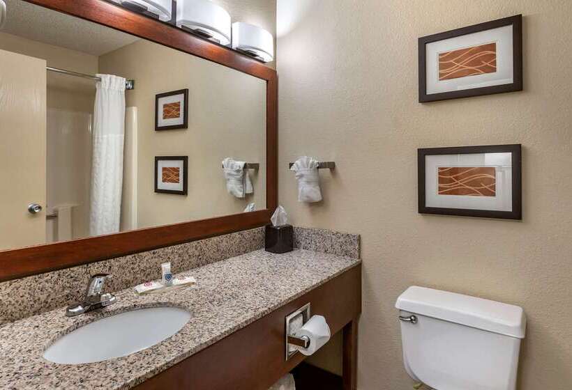 Отель Comfort Inn Moline  Quad Cities