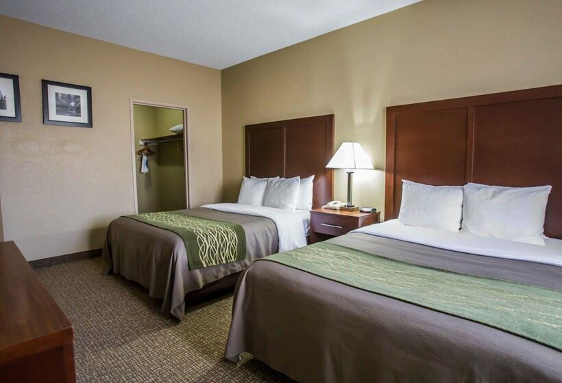 酒店 Comfort Inn Morris I80