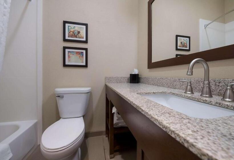 ホテル Comfort Inn Onalaska  La Crosse Area