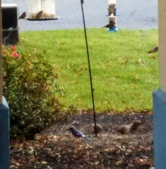 فندق Surestay Plus By Best Western Reading North