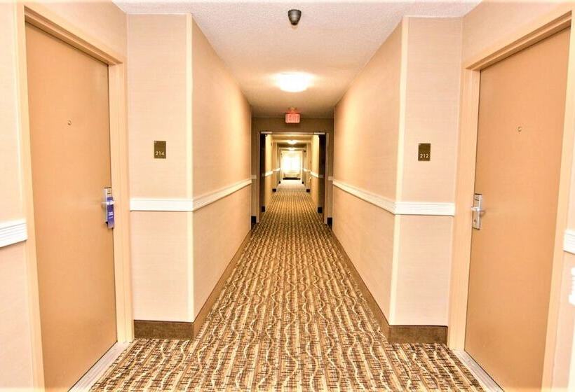 فندق Surestay Plus By Best Western Reading North