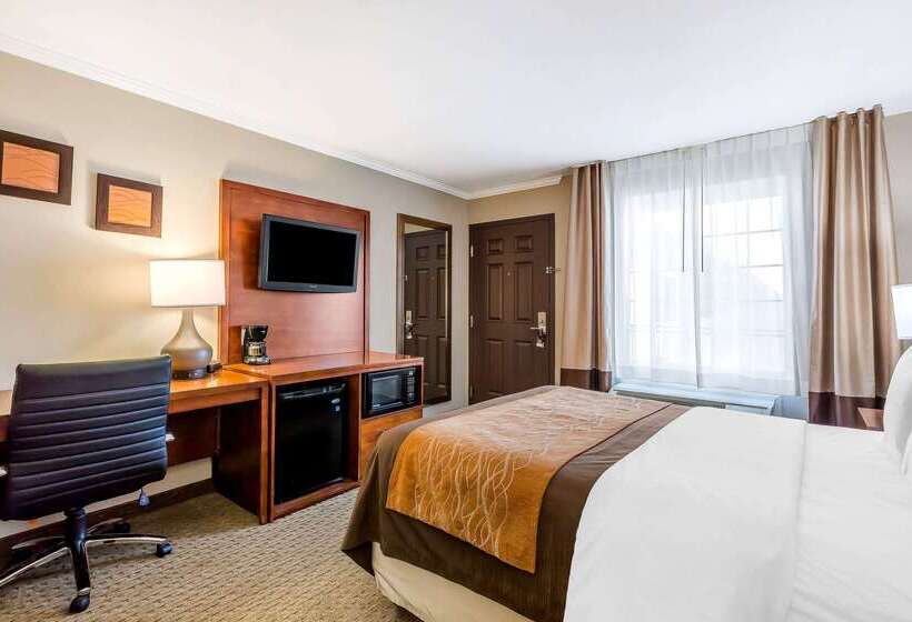 ホテル Comfort Inn Santa Monica  West Los Angeles