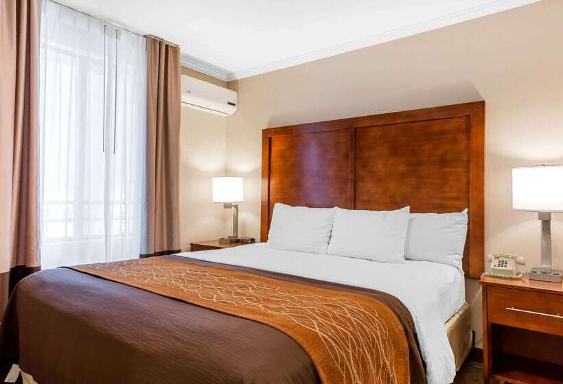 ホテル Comfort Inn Santa Monica  West Los Angeles