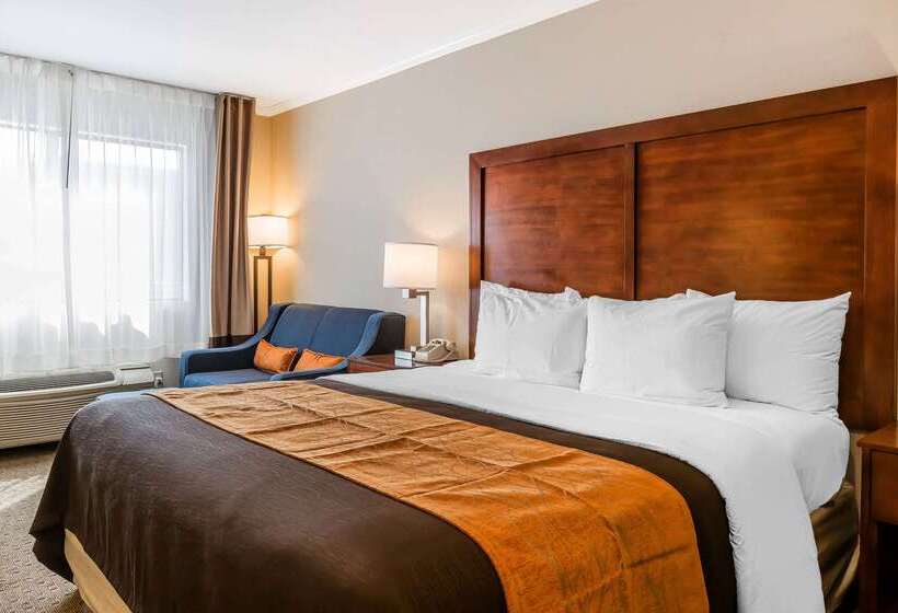 ホテル Comfort Inn Santa Monica  West Los Angeles