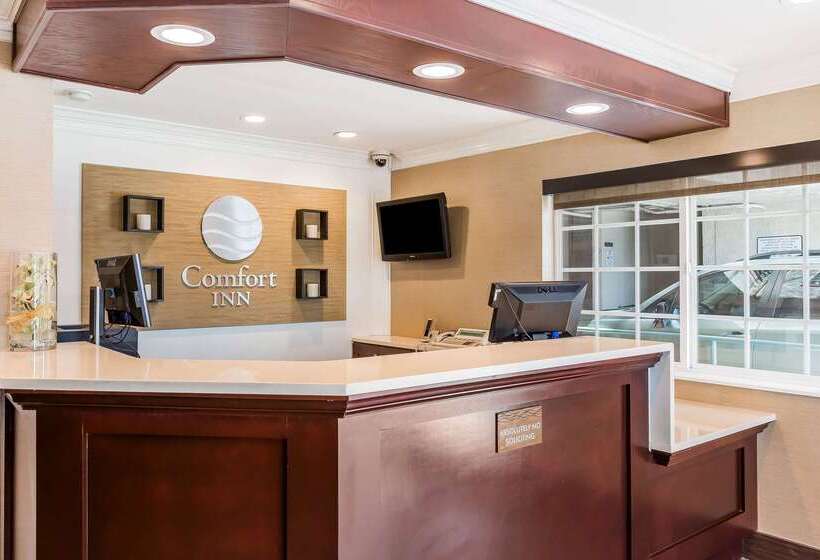 ホテル Comfort Inn Santa Monica  West Los Angeles