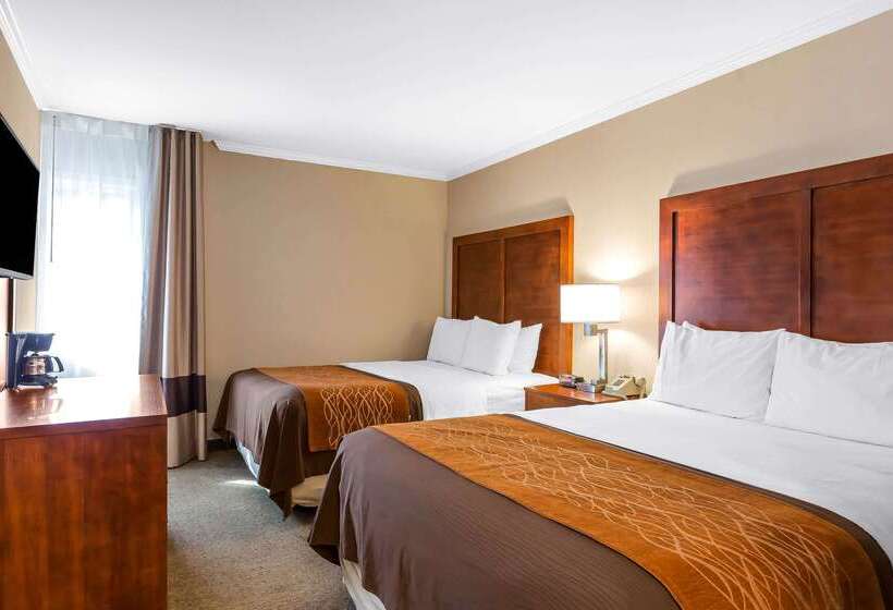 ホテル Comfort Inn Santa Monica  West Los Angeles