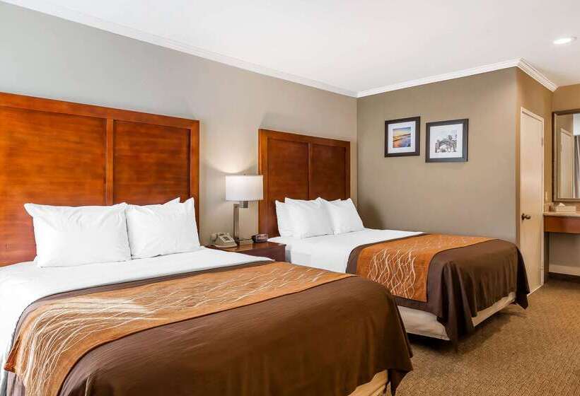 ホテル Comfort Inn Santa Monica  West Los Angeles
