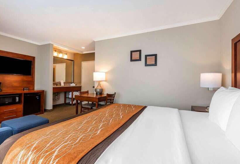 ホテル Comfort Inn Santa Monica  West Los Angeles