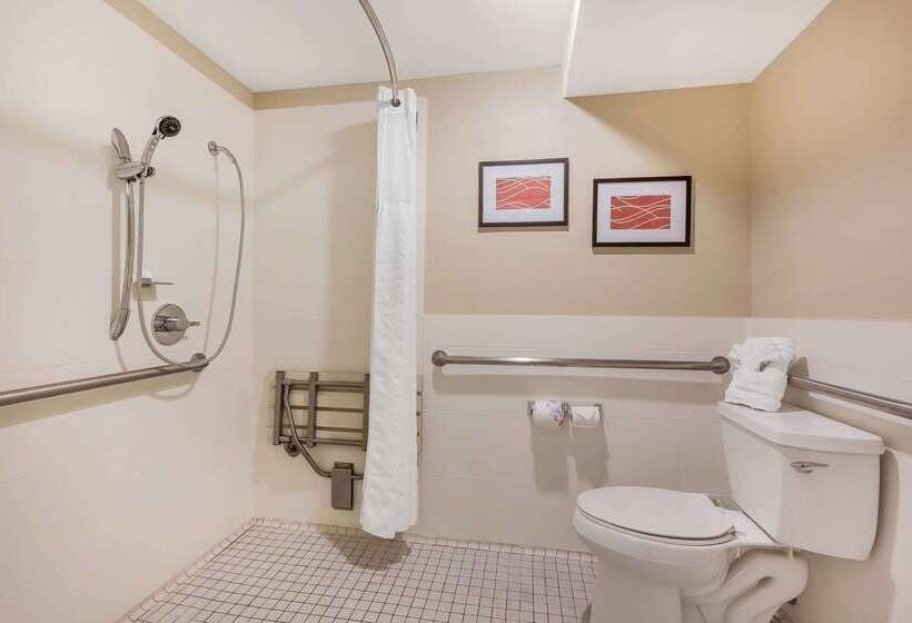 ホテル Comfort Inn Santa Monica  West Los Angeles